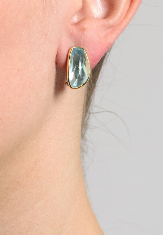 Margoni Facet Aquamarine Earrings	
