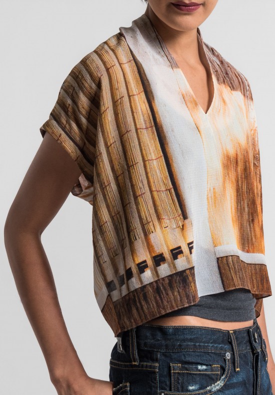 Anntian Silk Cropped Top in Rust	