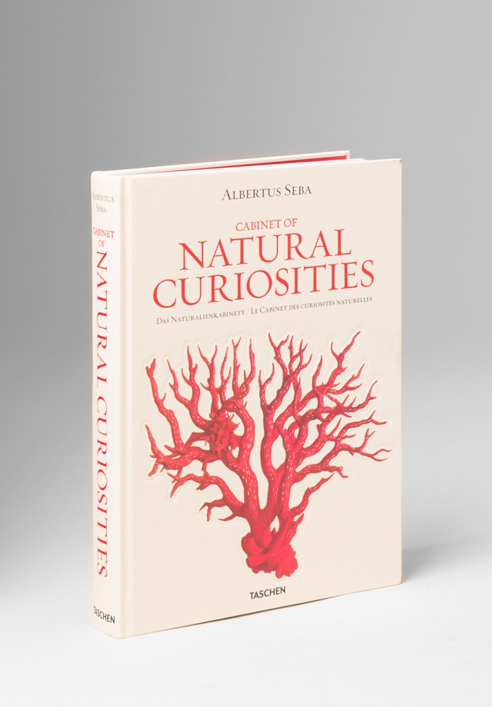 Taschen Medium Size Cabinet Of Natural Curiosities By Albertus
