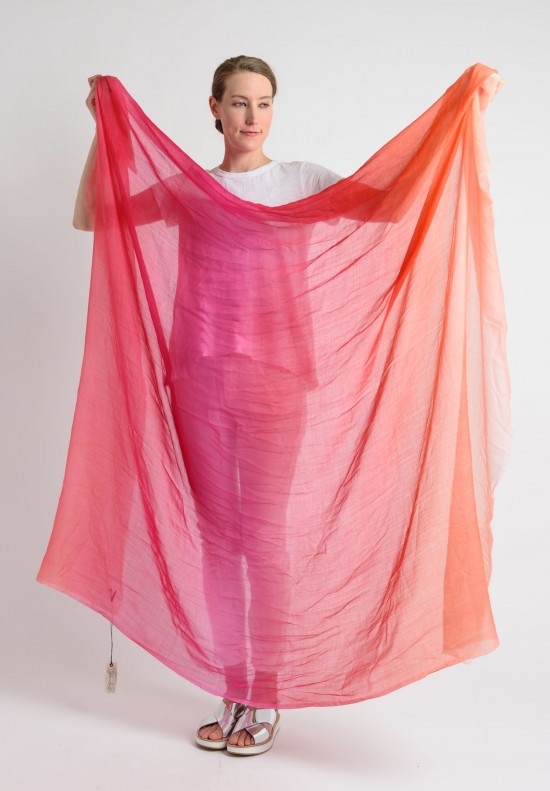 Faliero Sarti Cashmere Ombre Scarf in Pink | Santa Fe Dry Goods ...