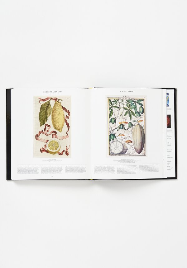 "Plant: Exploring the Botanical World" by Phaidon Editors	