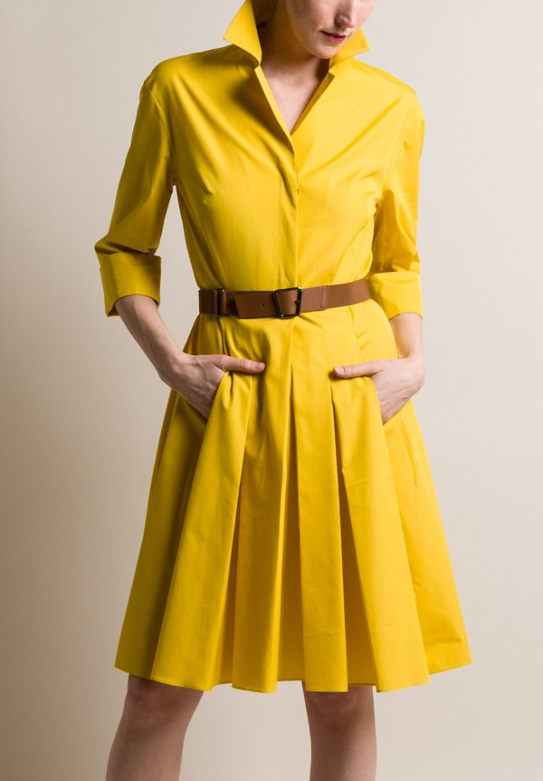 Akris Tailored Shirt Dress in Kodak