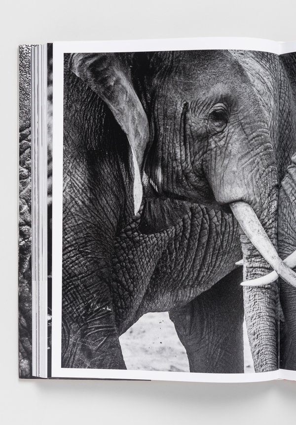 "The Family Album of Wild Africa" by Laurent Baheux