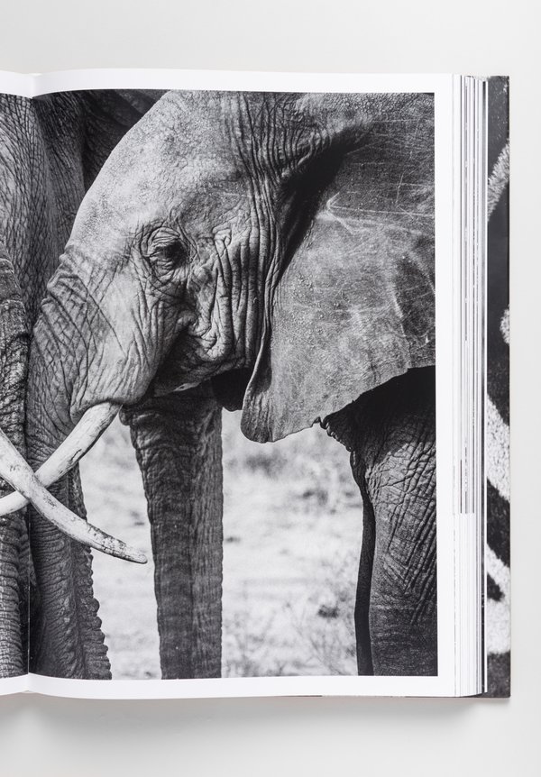 "The Family Album of Wild Africa" by Laurent Baheux