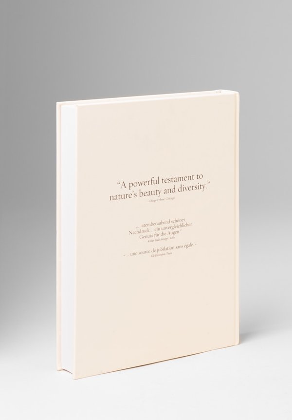 Taschen Medium Size Cabinet of Natural Curiosities by Albertus Seba