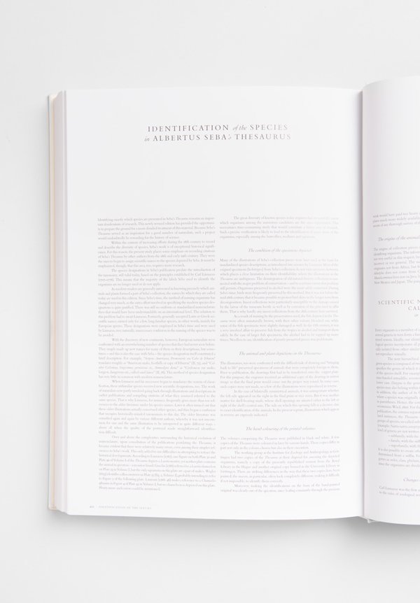 Taschen Medium Size Cabinet of Natural Curiosities by Albertus Seba