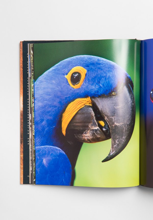 Taschen Eye to Eye by Frans Lanting