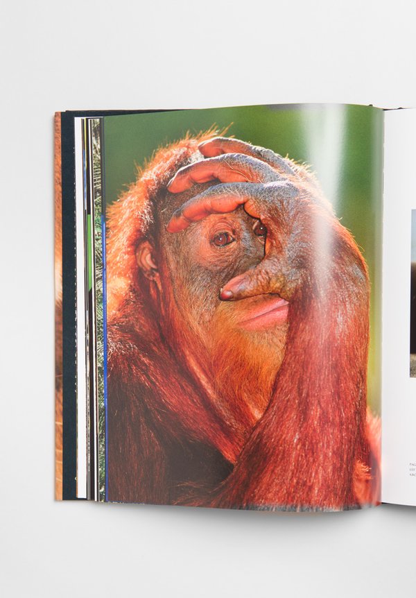 Taschen Eye to Eye by Frans Lanting