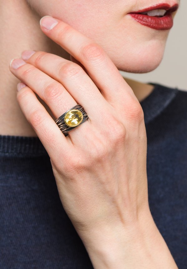 Disa Allsopp Oxidized Silver, Citrine, & 18K Spaghetti Ring