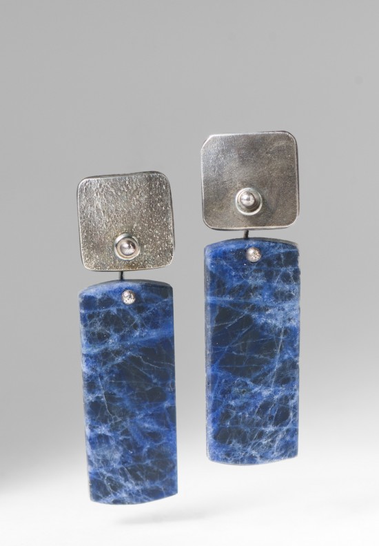 Holly Masterson Sodalite Rectangle Earrings in Blue