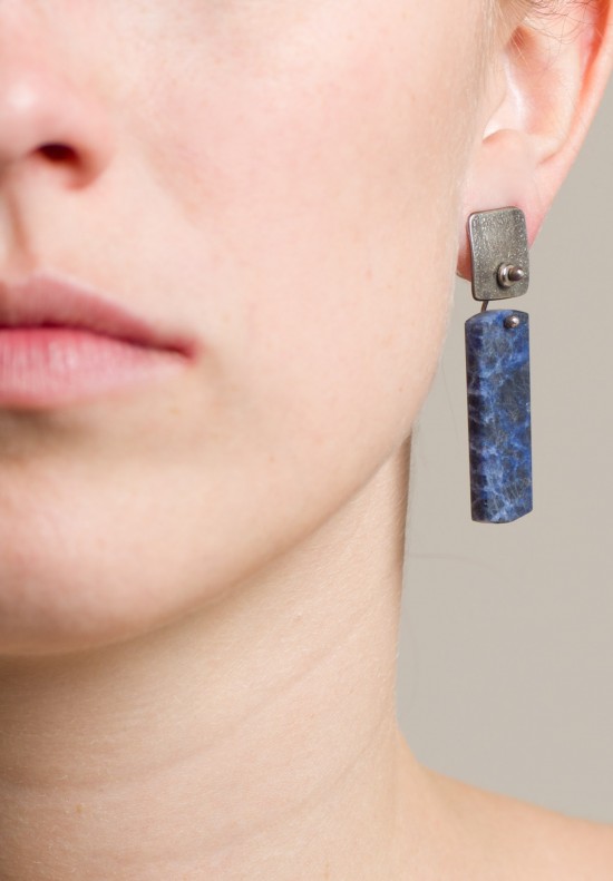 Holly Masterson Sodalite Rectangle Earrings in Blue