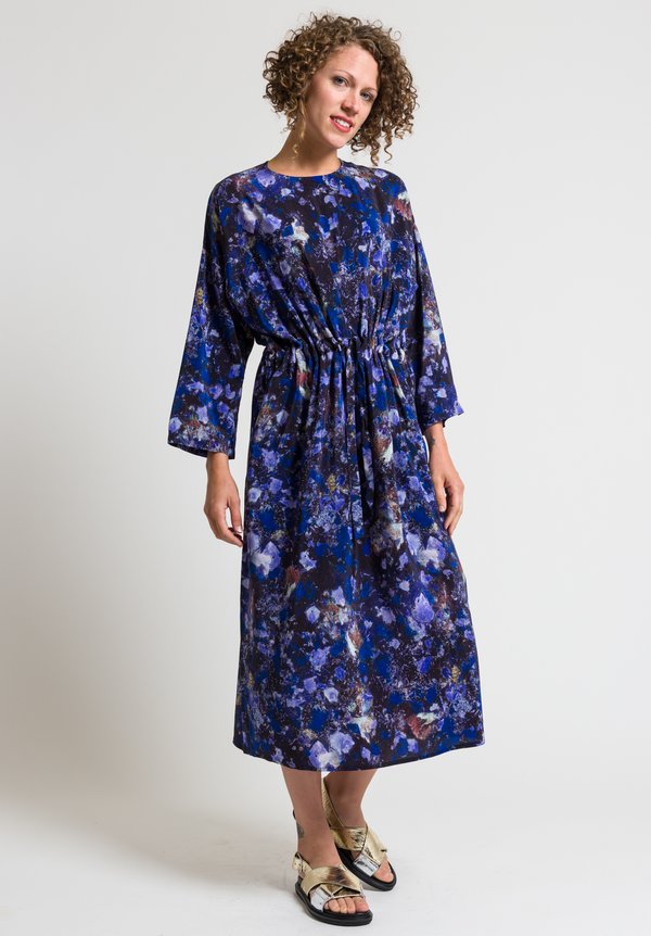 Anntian Simple Printed Silk Dress in Purple/ Blue	