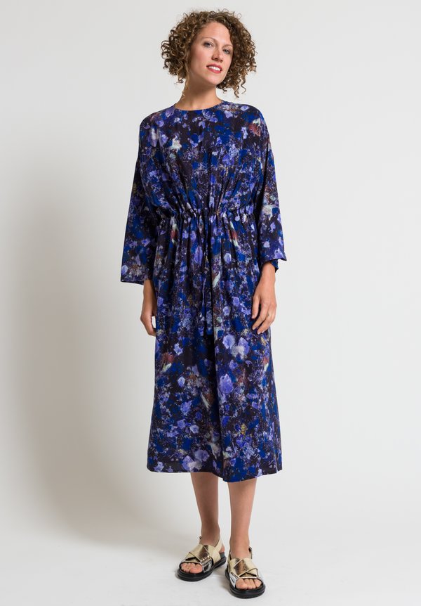 Anntian Simple Printed Silk Dress in Purple/ Blue	