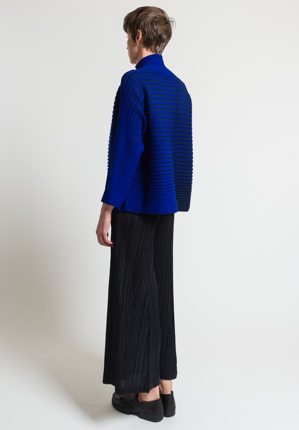 Issey Miyake 3D Stripe Knit Sweater in Blue