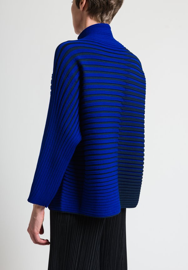 Issey Miyake 3D Stripe Knit Sweater in Blue