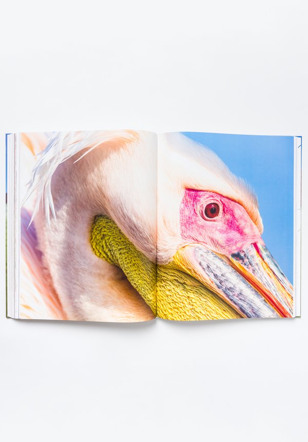 TeNeues "Namibia" by Michael Poliza	