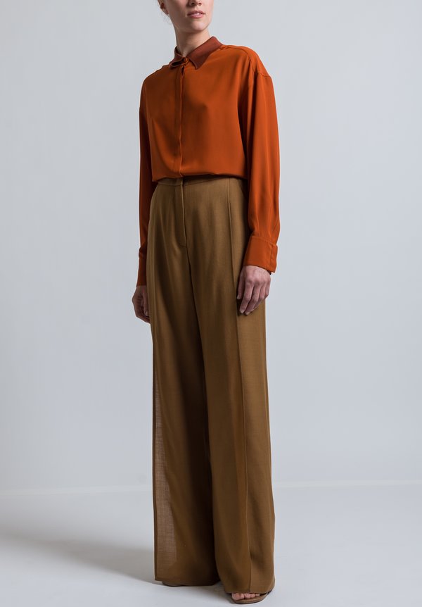 Agnona Long Panel Pleat Pants in Brown	