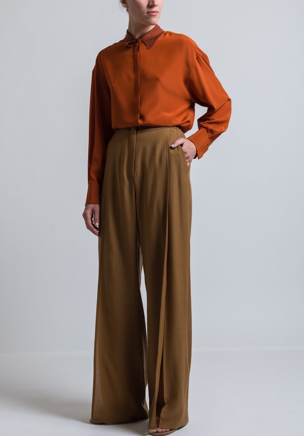 Agnona Long Panel Pleat Pants in Brown	