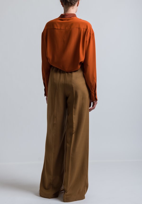 Agnona Long Panel Pleat Pants in Brown	