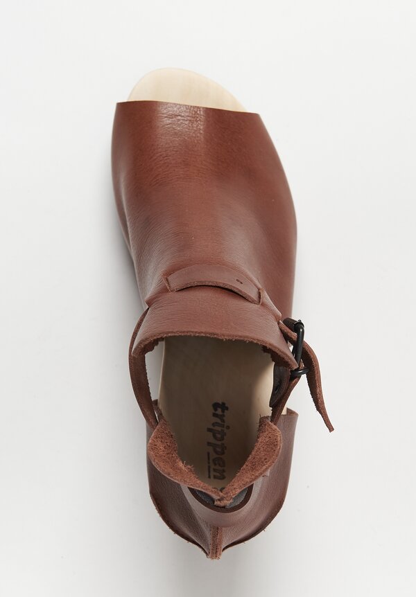 Trippen Statis Sandal in Brown	