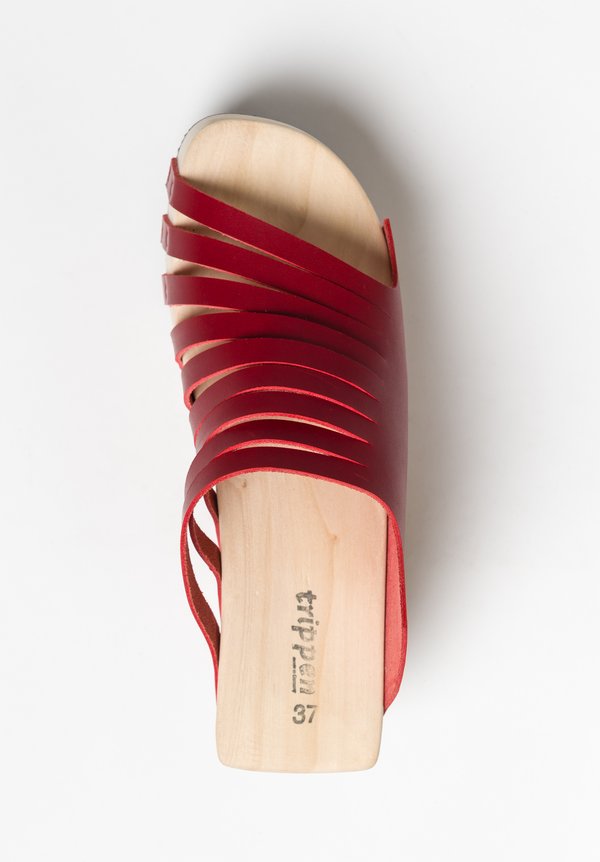 Trippen Flux Sandal in Red	