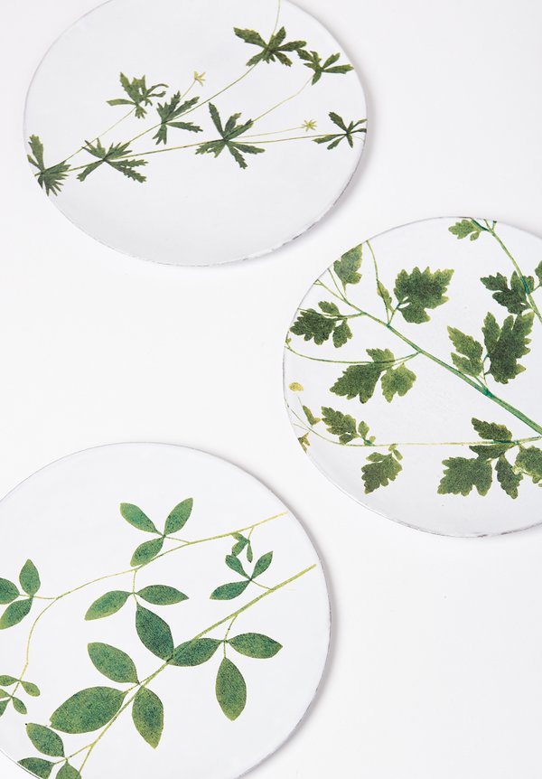 Astier de Villatte John Derian Jasminum Plate in White | Santa Fe