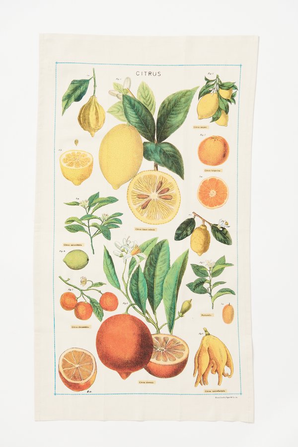 Natural Cotton Citrus Print Tea Towel