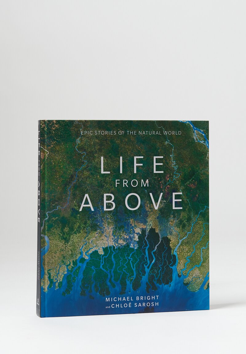 "Life from Above" Michael Bright & Chloe Sarosh	