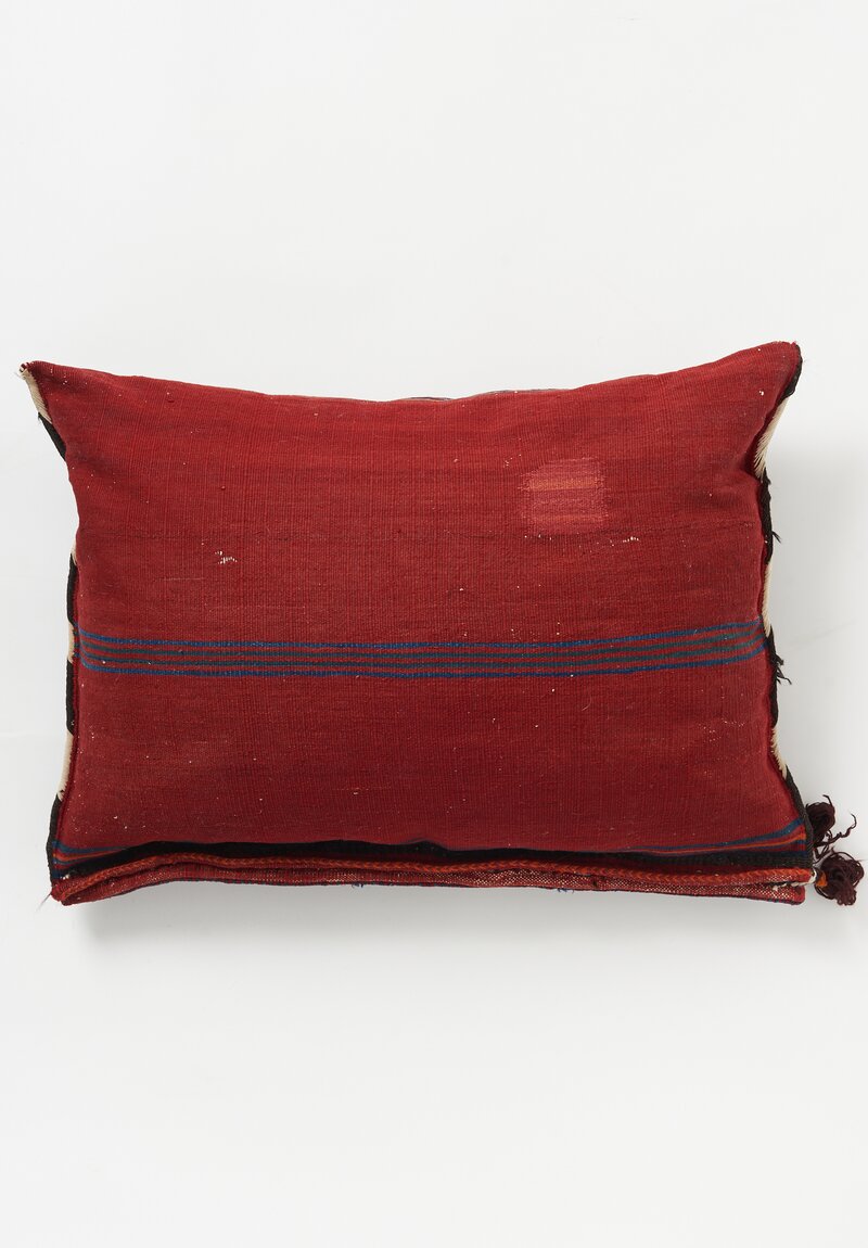 Antique and Vintage Wool Bakhtiyari Flat Woven Saddle Bag Pillow in Red Multi