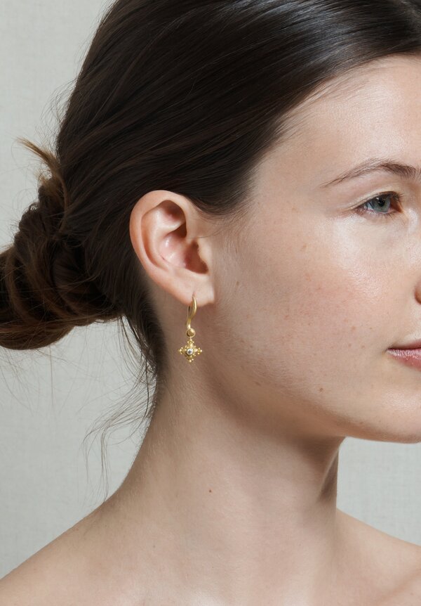 Denise Betesh Small Star Diamond S-Hoop Earrings	