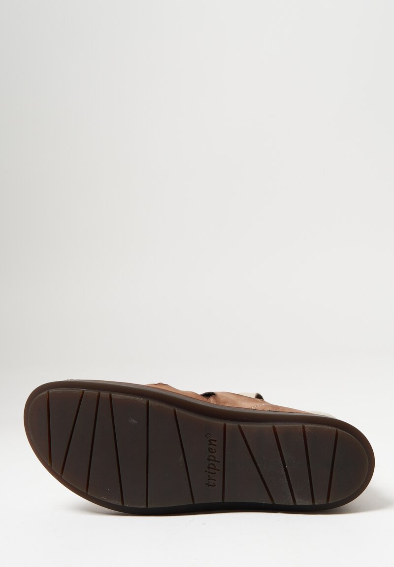 Trippen Task Sandal in Granit Brown	