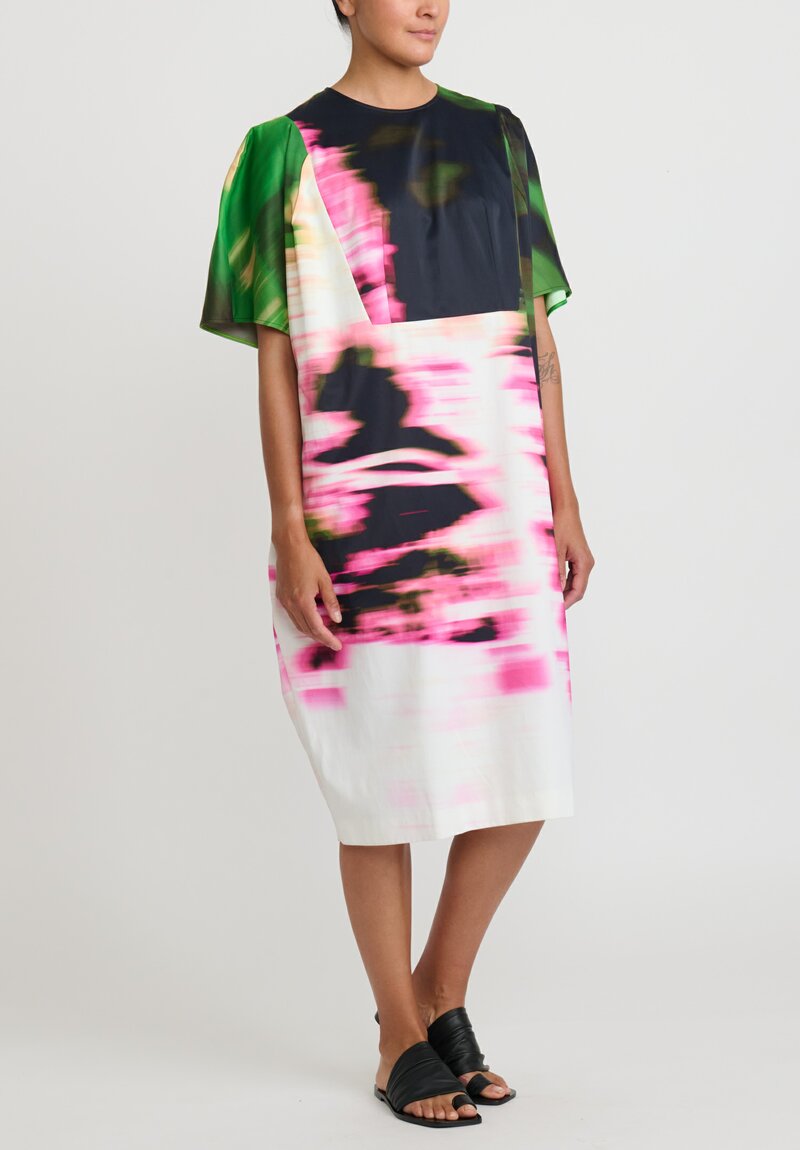 Dries Van Noten Dalia Dress in Green Pink Blur	