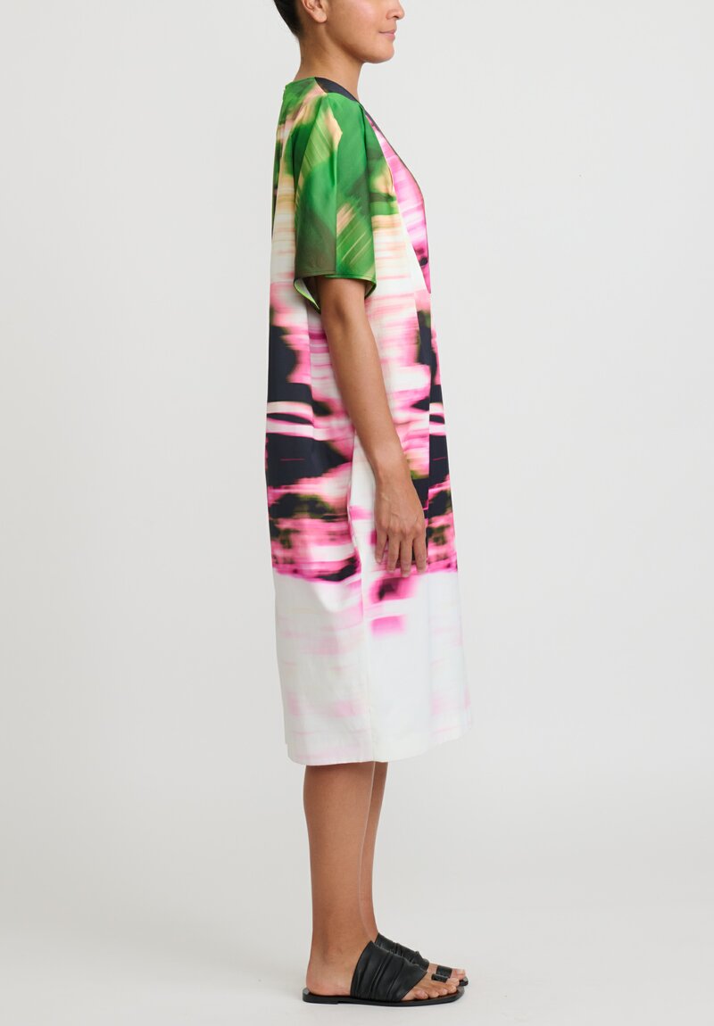 Dries Van Noten Dalia Dress in Green Pink Blur	