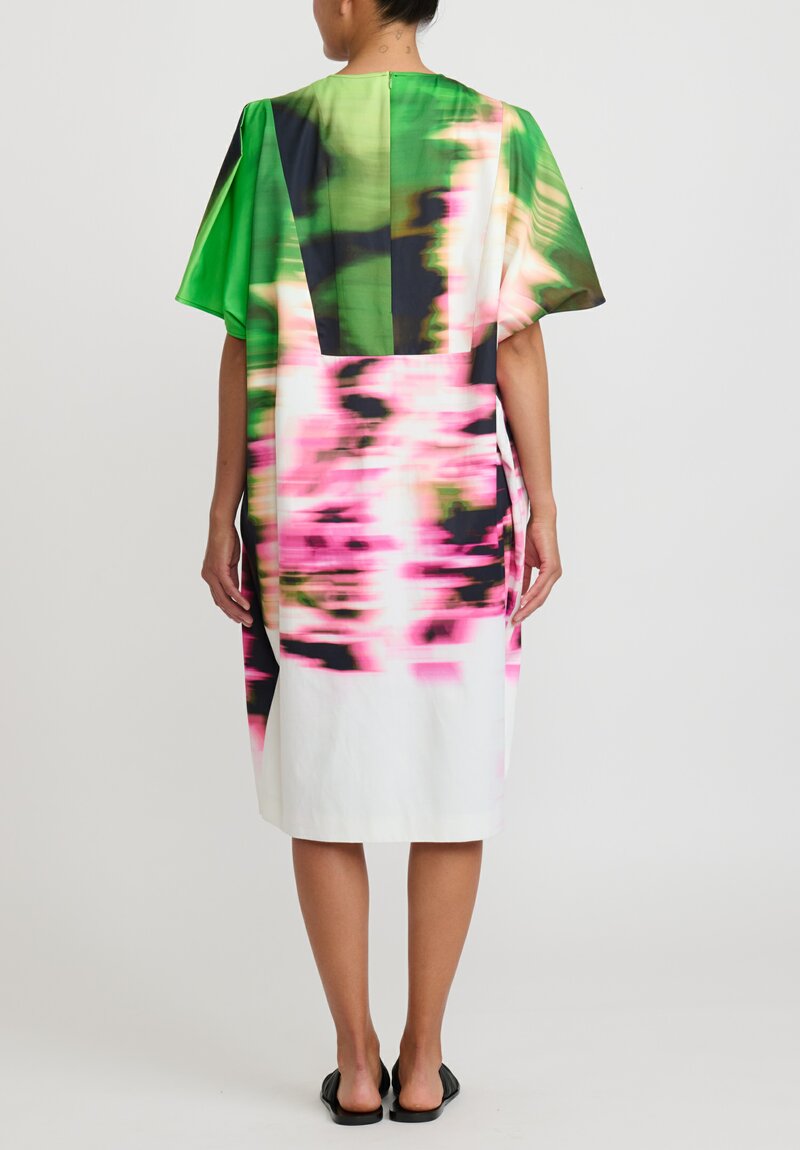 Dries Van Noten Dalia Dress in Green Pink Blur	