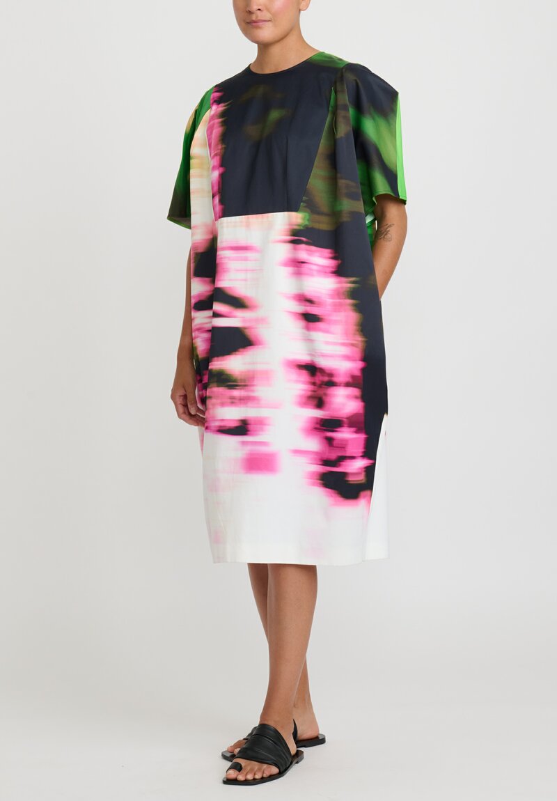 Dries Van Noten Dalia Dress in Green Pink Blur	