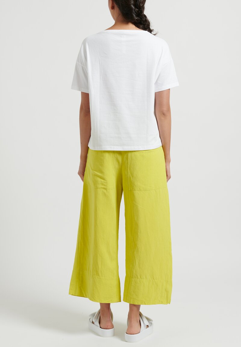 Gilda Midani Solid Dyed Silk & Linen Pleat Pants in Neon Green	