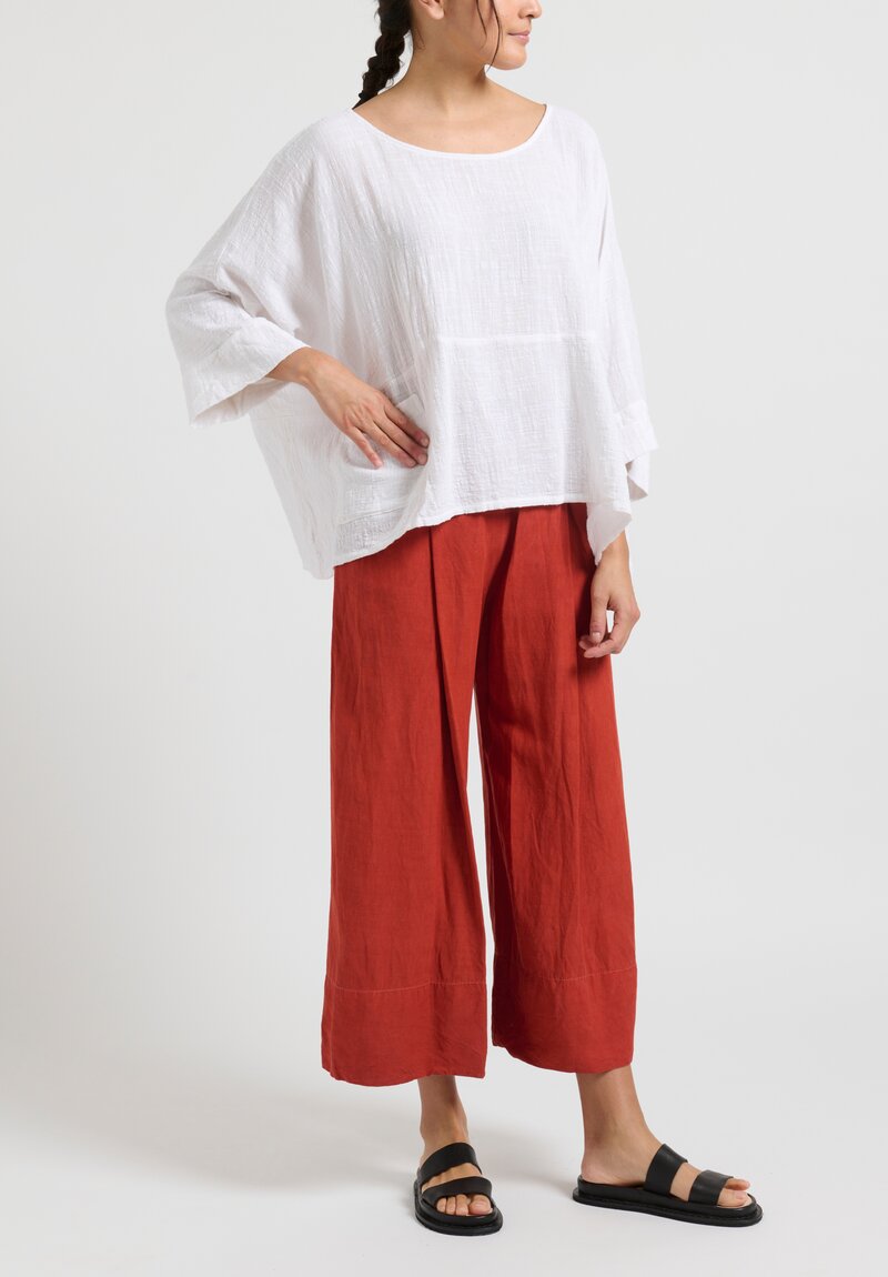 Gilda Midani Solid Dyed Silk Linen Pleats Pants	in Fire Brick Red