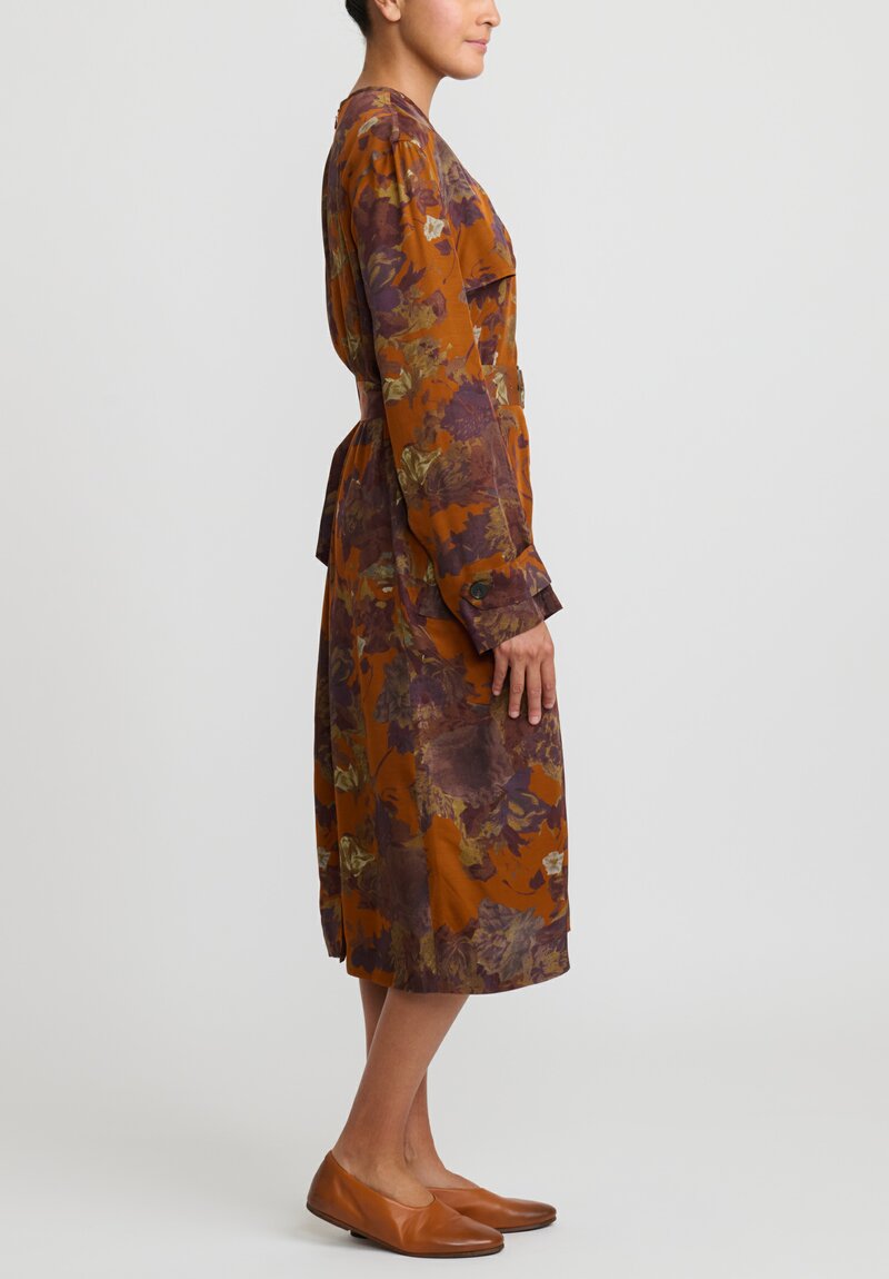 Dries Van Noten Dosana Dress in Rust Floral	