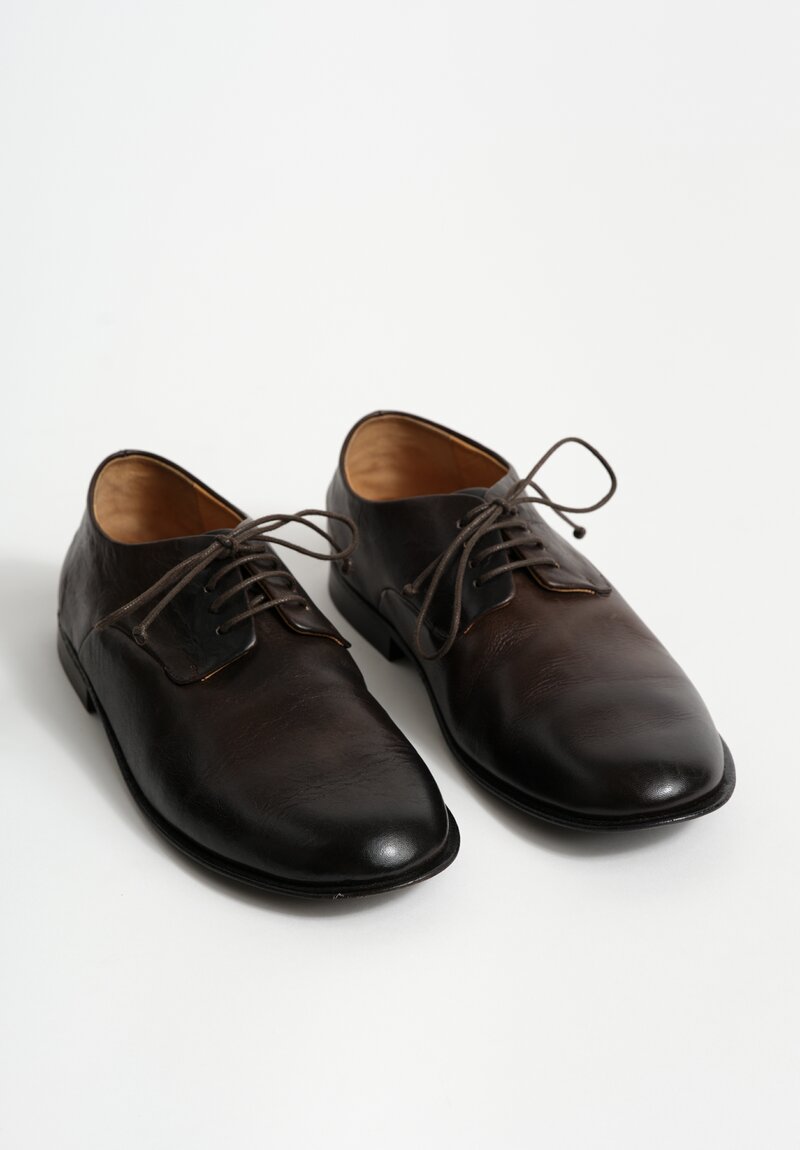 Marsèll Leather Stucco Derby in Dark Brown	