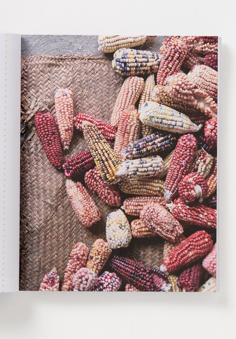 Lodestars Anthology Vol 13: Mexico