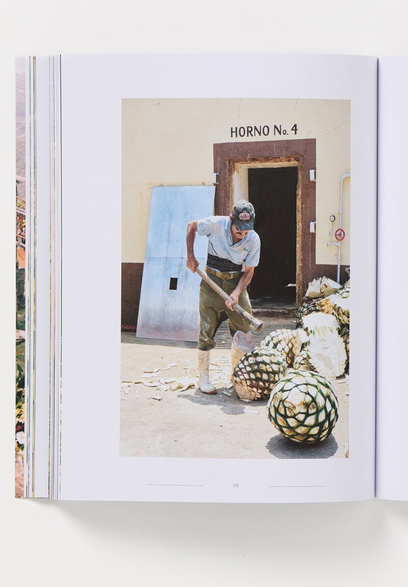 Lodestars Anthology Vol 13: Mexico