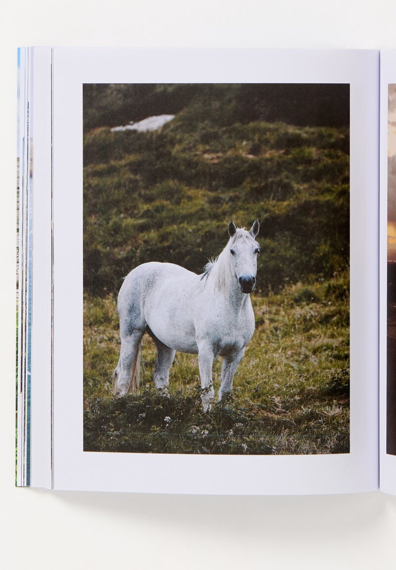 Lodestars Anthology Vol 17: Ireland