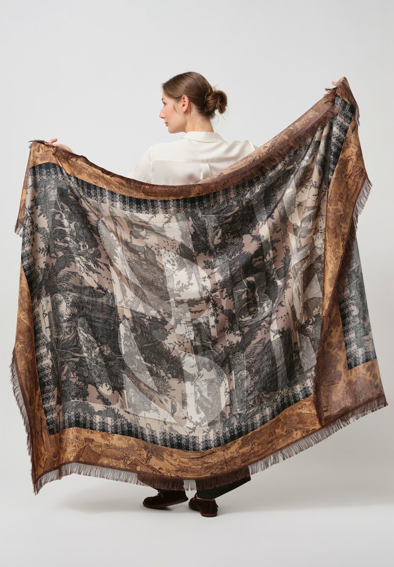 Pierre-Louis Mascia Aloe Ultra Wash Silk Scarf in Rust Brown & Grey	