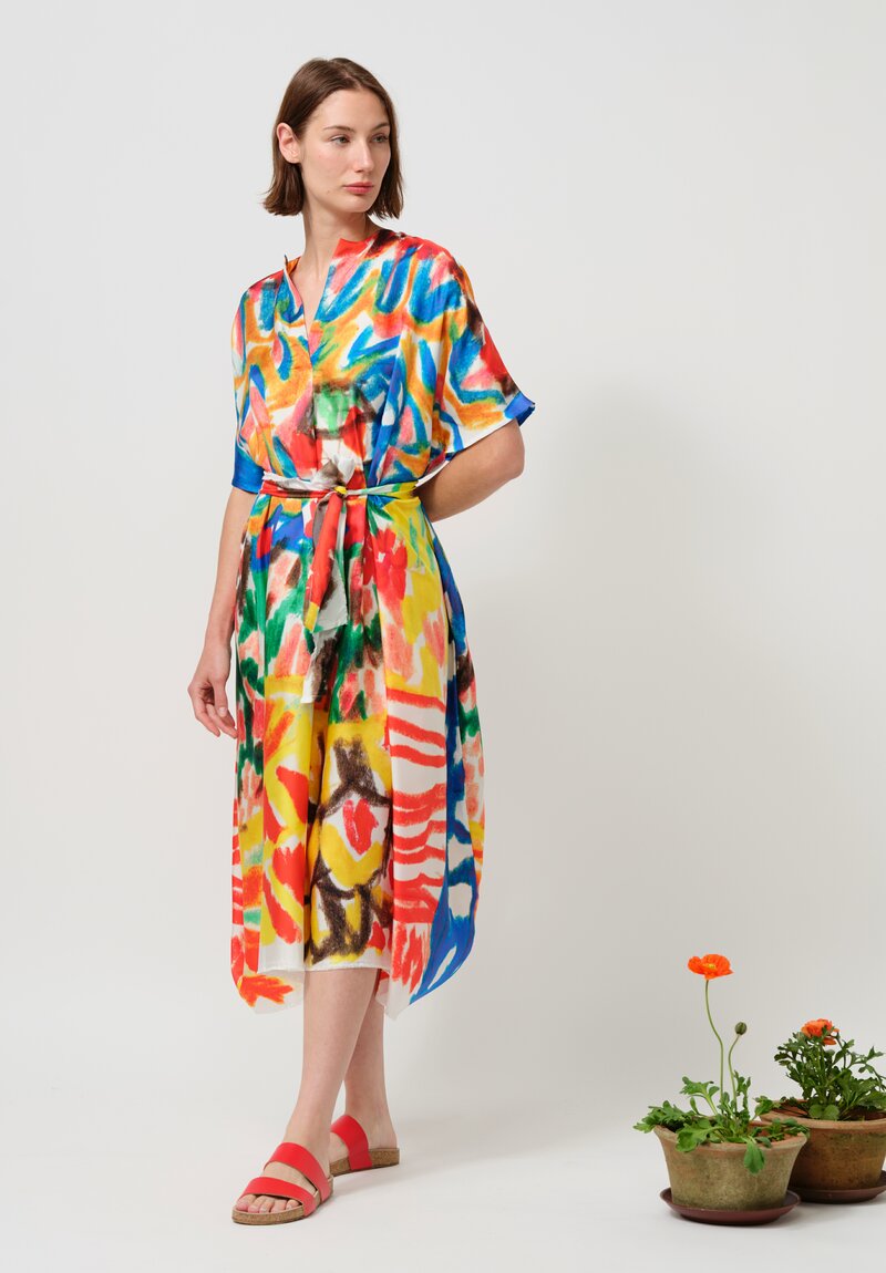 Daniela Gregis Silk Manichina Dress in Basilico Drawing