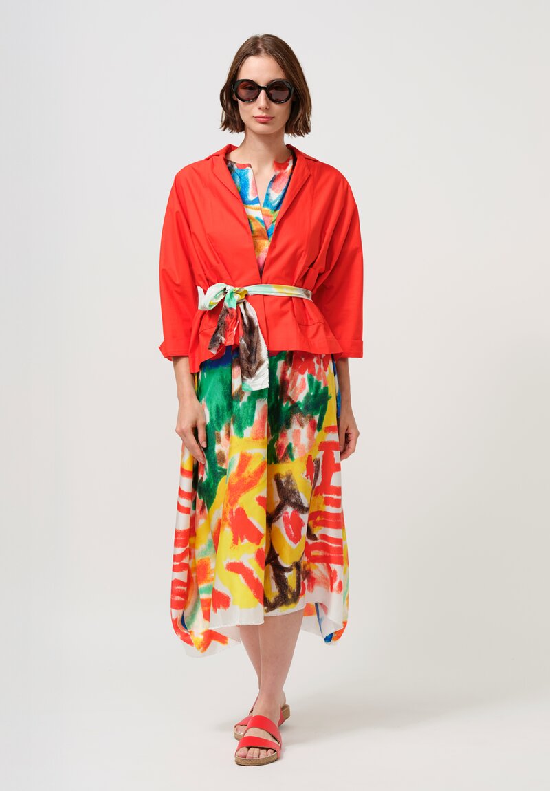 Daniela Gregis Silk Manichina Dress in Basilico Drawing