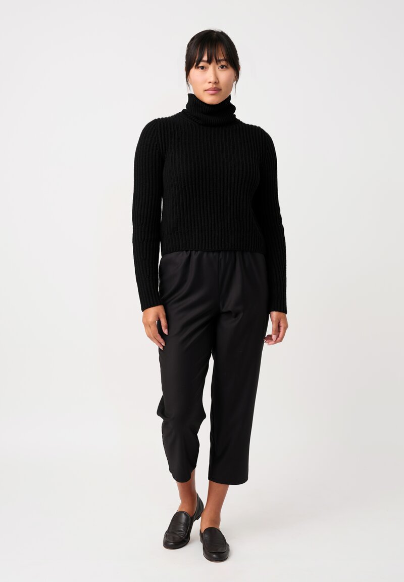 Iris Von Arnim Cashmere Astrid Turtleneck Sweater in Black