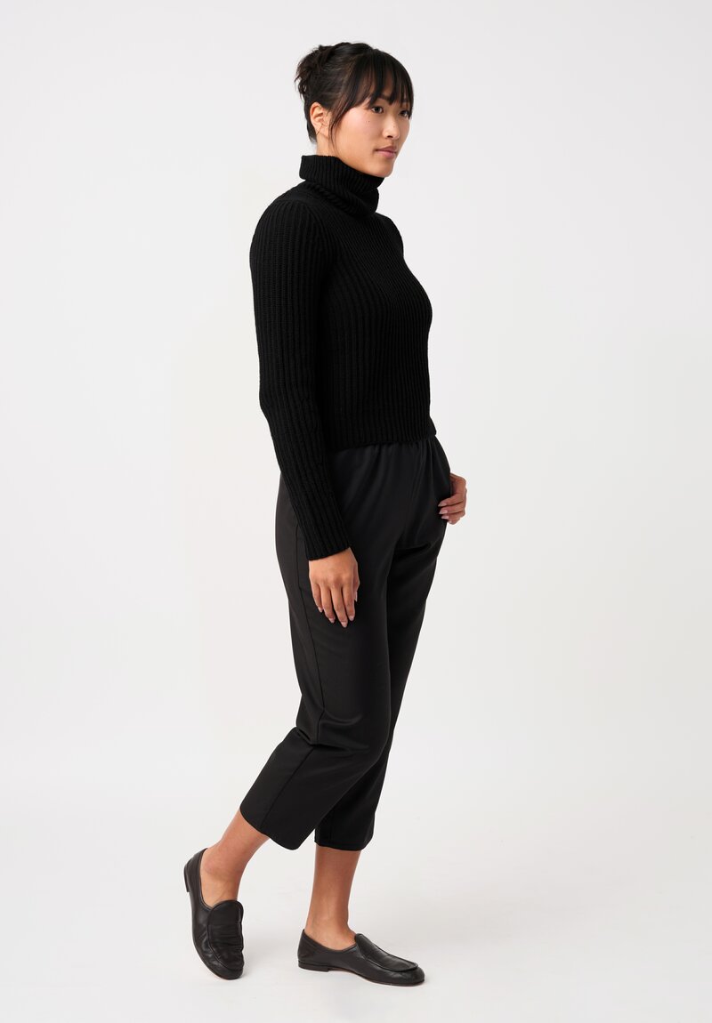 Iris Von Arnim Cashmere Astrid Turtleneck Sweater in Black