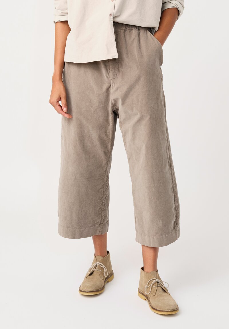 Album di Famiglia Cotton Velvet W&S Pants in Ash Brown