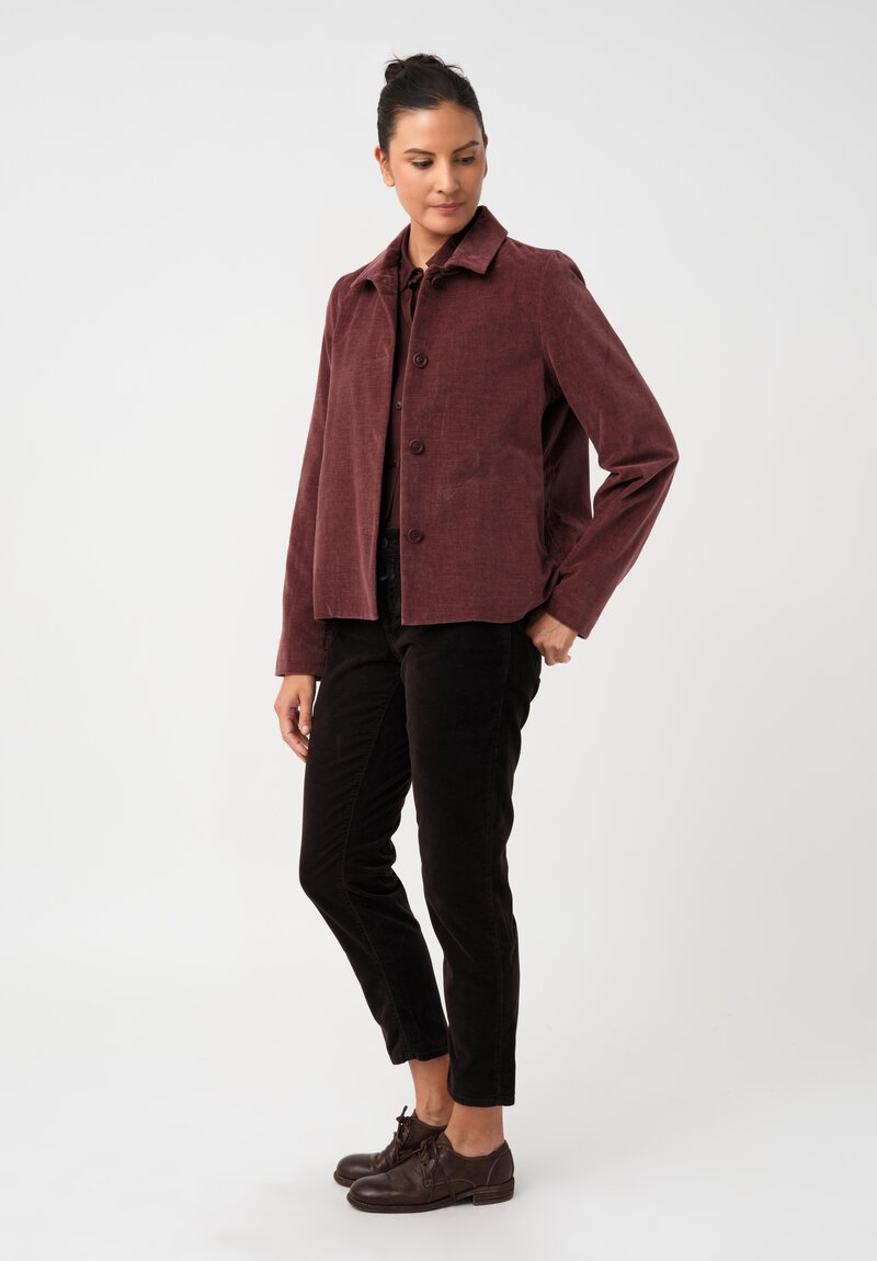 Casey Casey Cotton Velvet Pwet Point Collar & Button-Down Jacket in Syrah Red