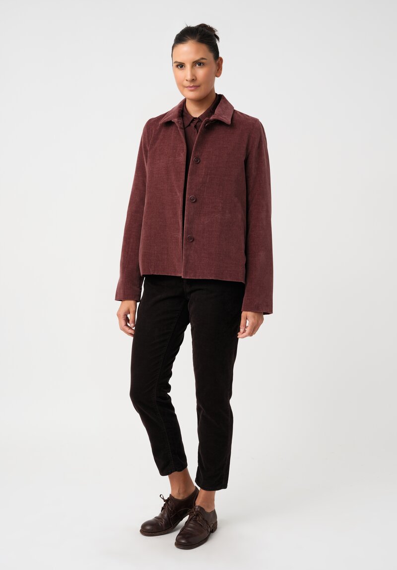 Casey Casey Cotton Velvet Pwet Point Collar & Button-Down Jacket in Syrah Red